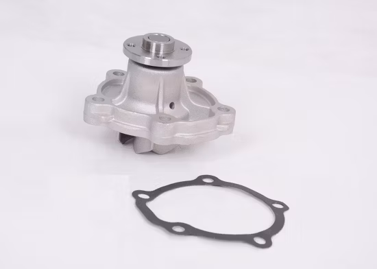 17400-69G00 WATER PUMP