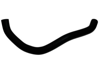 25415-C1100 HOSE-RADIATOR LWR